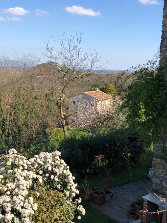 Dolce Vita In Tuscany B&B Capannori Ngoại thất bức ảnh