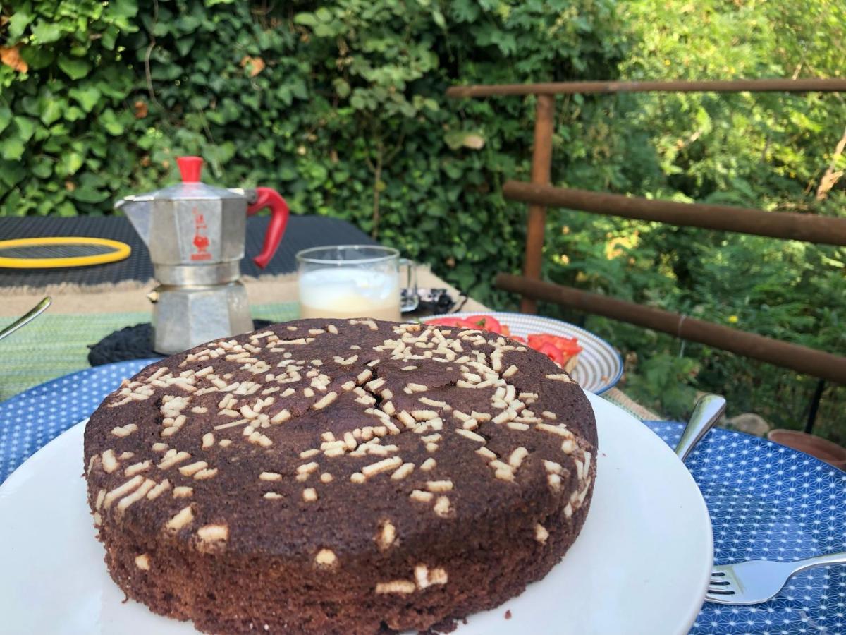 Dolce Vita In Tuscany B&B Capannori Ngoại thất bức ảnh
